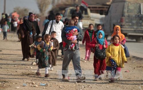 Irak: Fast 42.000 Menschen seit Beginn der Mossul-Offensive geflohen - ảnh 1